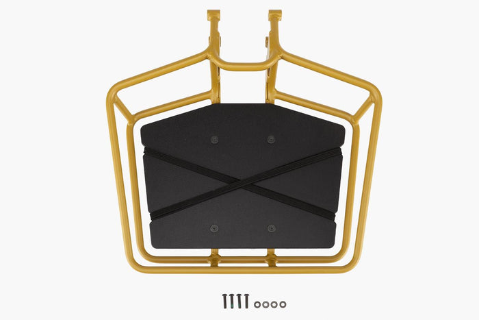 Riese and Muller Cargo Front Carrier