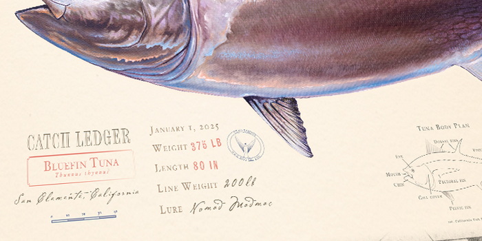 Yellowfin (ahi) Over Nautical Charts - Custom