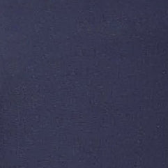 Solid dark blue color swatch | Swatch | Exclude